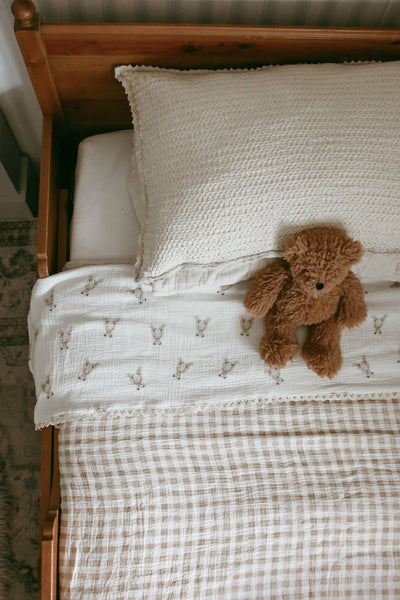 Teddy Bear Blanket