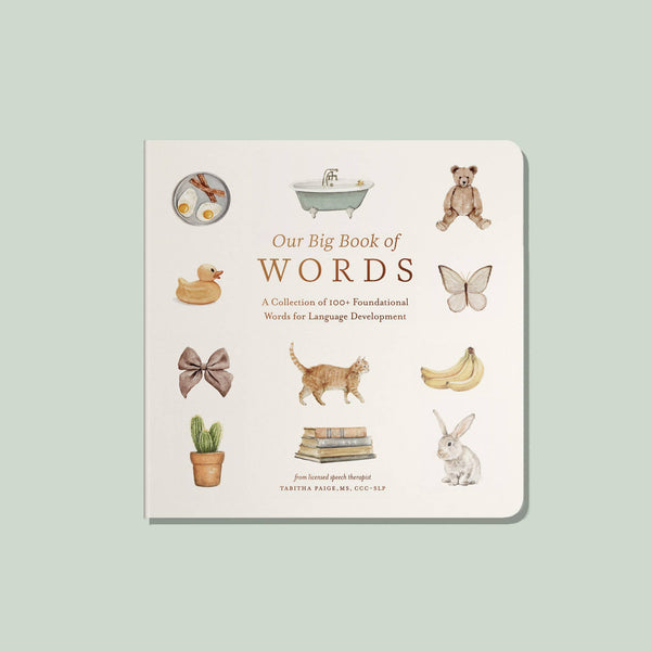 First Words Book