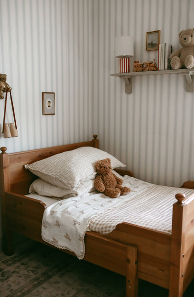 Teddy Bear Blanket