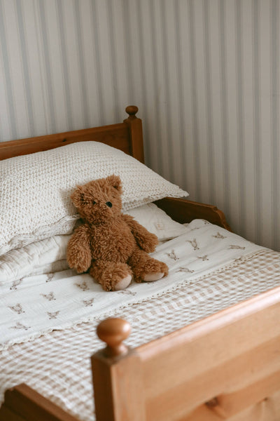 Teddy Bear Blanket