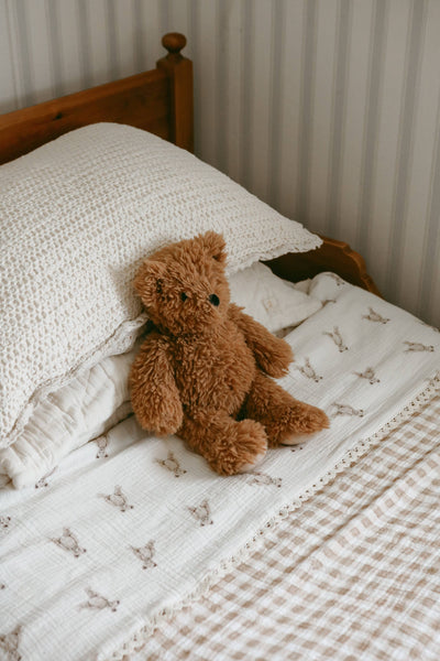 Teddy Bear Blanket