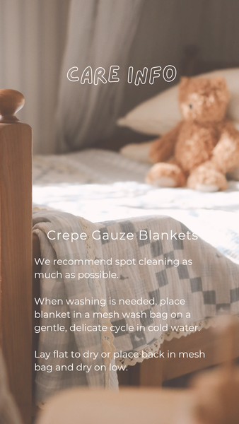 Teddy Bear Blanket